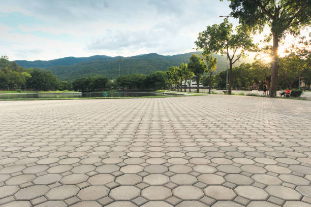 Best Residential Driveway Paver Services  in Jacksboro, TN