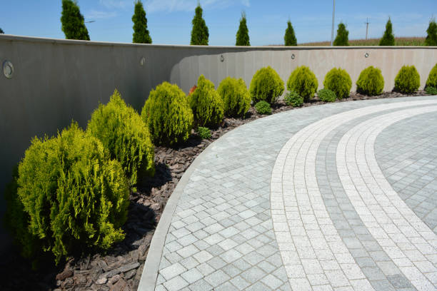 Best Brick Driveway Pavers  in Jacksboro, TN