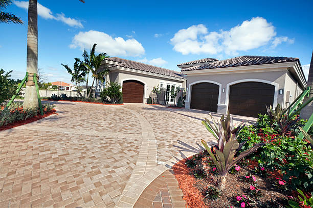 Best Driveway Paving Near Me  in Jacksboro, TN